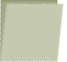 Green Ballot Paper