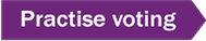 Practise Voting