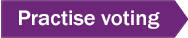 Practise Voting