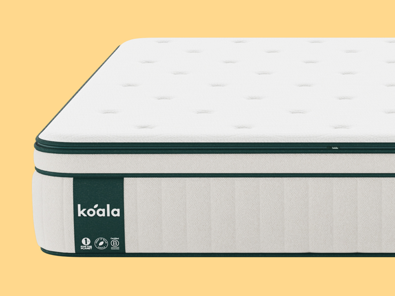 Koala — Koala