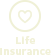 Life Insurance