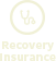 Recovery Insurance