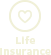 Life Insurance