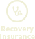 Recovery Insurance