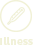 Illness Cover