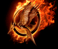 Mocking Jay