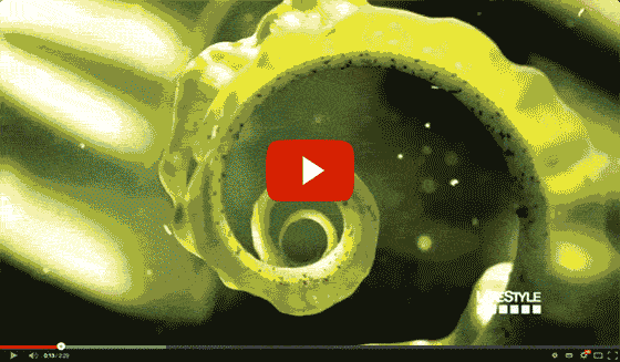 WATCH THE VIDEO